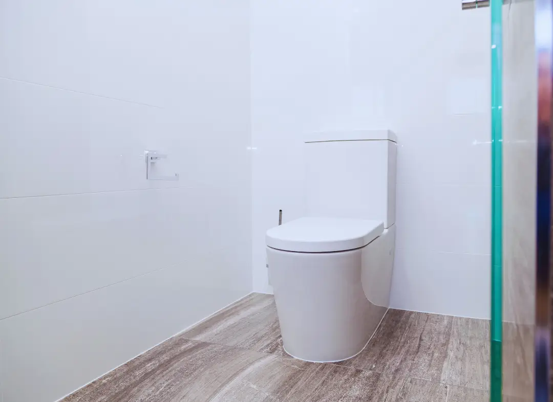 Remplacement de wc Langeais