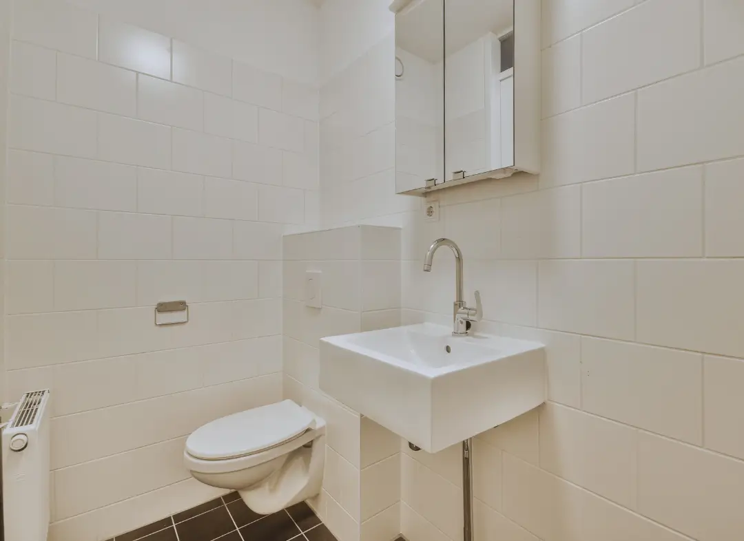 Pose WC Suspendu Langeais